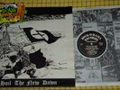 Sk LP Hail The New Dawn Rock O Rama RRR46 Skinhead Punk ISD RAC Oi