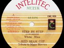 Listen - White Mice Step By Step NM Killer Reggae Jah Shaka Digi Rare 12