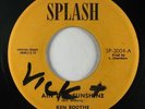 Reggae 45 KEN BOOTHE Ain't No Sunshine on Splash