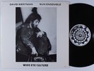 DAVID WERTMAN Wide Eye Culture SUNMUSE LP VG++ private spiritual jazz