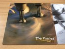 The Posies Frosting On The Beater Rare 1993 Geffen Vinyl LP VG+/EX- Nirvana