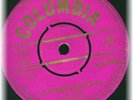 REG LINDSAY THE WALKABOUT ROCK AND ROLL OZ ONLY COUNTRY 45 on PINK COLUMBIA