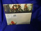 Schallplatte - The Fragile - Nine Inch Nails - original verpackte Schallplatte