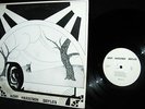 RARE 1973 ACID ARCHIVES PRIVATE = KENT HARRISON BOYLES Folk Psych Neil Young GEM