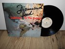 DIAMOND HEAD - LIGHTNING TO THE NATIONS  LP WOOLFE RECS