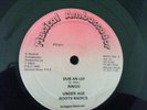 Edi Fitzroy Ringo - First Class Citizen / Roots Radics - First Class Dub   VG++