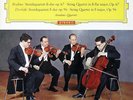 AMADEUS QUARTET / Brahms-Dvorak String Quartets / DGG Red Stereo SLPM 138 126
