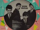 The Beatles(Vinyl LP Picture Disc)Silver Beatles-AR 30003-Denmark-Ex-/NM