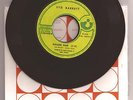 syd barrett OCTOPUS c/w GOLDEN HAIR france 7
