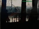 Cluster Sowiesoso LP Original Stunning Sky Record 005 German Ambient Kraut Vinyl