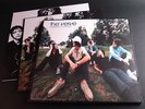 THE VERVE 