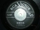DOO-WOP 45. THE ROBINS-TEN DAYS IN JAIL/EMPTY BOTTLES/RCA 5489
