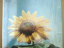 rare psych folk   CHILDREN OF ONE - Self Titled LP   NM- SHRINK orig. REAL R-101