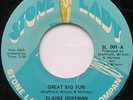 ELAINE HOFFMAN Great big fun KILLER FUNK SOUL  Stone Lady 45 LISTEN