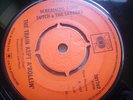 SCREAMING LORD SUTCH &THE SAVAGES         THE TRAIN KEPT A,ROLLING