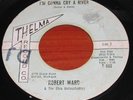 Rare Detroit Northern Soul Robert Ward 