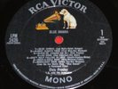 Elvis 