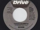 Modern Soul Boogie 45 - Wizdom - I'm So In Love With You - Drive - mp3