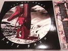Kate Bush The Red Shoes UK Original Vinyl LP in 1993 (Near Mint condition)