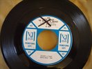 BEATLES 45 1964.. VJ 587 Promo...Thank You Girl...Original