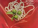 Conjunto La Perla De Ponce salsa y Guaguanco Lp
