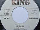 LITTLE WILLIE JOHN 