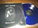 James McCarthy born a loser RARE Private Acid Folk Psych Lp Archives Pokora