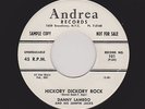 '56 R&R JIVER DANNY LAMEGO Hickory Dickory Rock M- DJ Cool Promo Sleeve HEAR