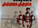 DOUG CARN Adams Apple LP Black Jazz BJQD/21 Quadraphonic LP VG Minus Funk
