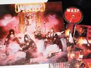 W.A.S.P. -WASP LP 1984 wasp