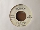 RARE Northern Soul 45 DAVID AND RUBEN 
