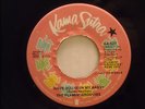 FLAMIN' GROOVIES - 
