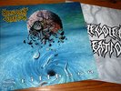 MALEVOLENT CREATION Stillborn LP 1st Press '93 * Suffocation Immolation Massacre