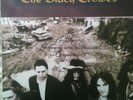 The Black Crowes/ The Southern Harmony And Musical Companion