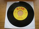 45 SIX PENTS  - SHE LIED / SUMMER GIRL (KIDD 1335) ORIGINAL ISSUE USA GARAGE