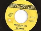 RAMRODS bright lit blue skies / mister wind HEAR 60s garage BEAT mod MINT-