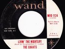 NORTHERN SOUL 45 RPM - THE CHARTS on WAND RECORDS