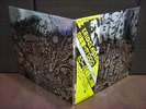 Cream Wheels of Fire Japan Rare 2LP YELLOW OBI INSERT NM/NM