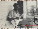 10LP BOX Various Artists - The Introduction To Living Country Blues USA/L+R/NM