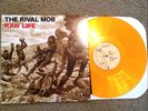 Rival Mob Raw Life gold Free Spirit No Tolerance Mental