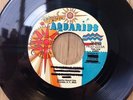 Soul In-Pressions 70's sweet soul funk 45 Girl Don't Worry/Zing on Aquarius EX