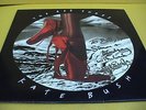 Kate Bush -The Red Shoes*Signed* plus 'Running up hill'G/F single - Amazing