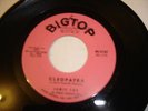 JAMIE COE BIG TOP 45 CLEOPATRA R&B SOUL