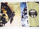 MOONSPELL -The Butterfly Effect LP 1999 Splatter Vinyl 1st press