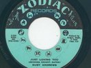 Northern / X-Over - Ruby Andrews - Just lovin you / the Love I Need  (VG)