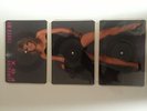 Samantha Fox, Touch Me, Three part picture disc album