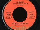 Sweet Soul 45   Michael Lizzmore   Promise That You'll Wait   Capitol   mp3
