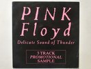 Pink Floyd -Delicate Sound Of Thunder-RARE PROMO SAMPLE 1st press UK 1988