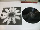 CARDIACS - 