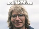 VARIOUS/THE MUSIC IS YOU - A TRIBUTE TO JOHN DENVER 2 VINYL LP NEW